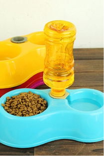 當(dāng)陽(yáng)光射進(jìn)陰霾 蘑菇街優(yōu)店的寵物溫情日用品